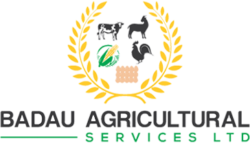 IMG-LOGO